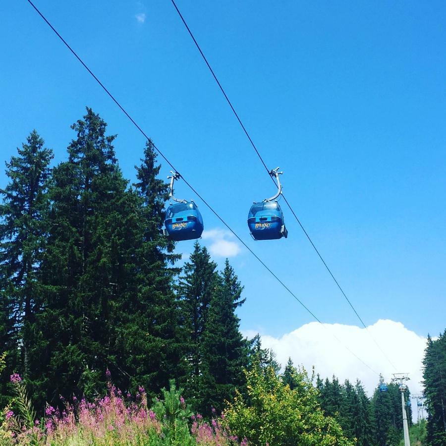 Chalet Jora - Total Chalets バンスコ エクステリア 写真